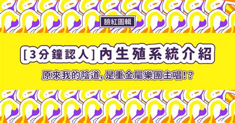 女人 身體|【圖輯】陰道、子宮、卵巢！12 張圖搞懂女性內生殖。